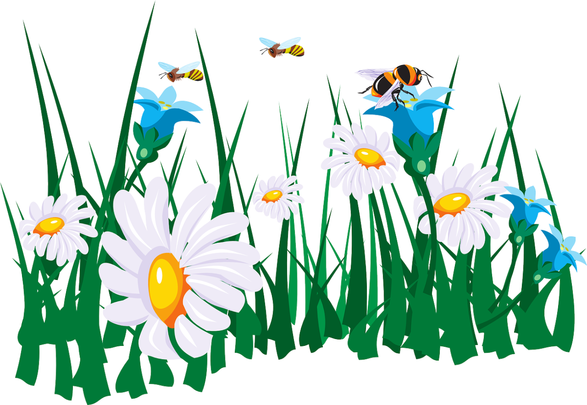 https://pixabay.com/pl/vectors/kwiaty-pszczo%c5%82y-ogr%c3%b3d-zielony-45786/