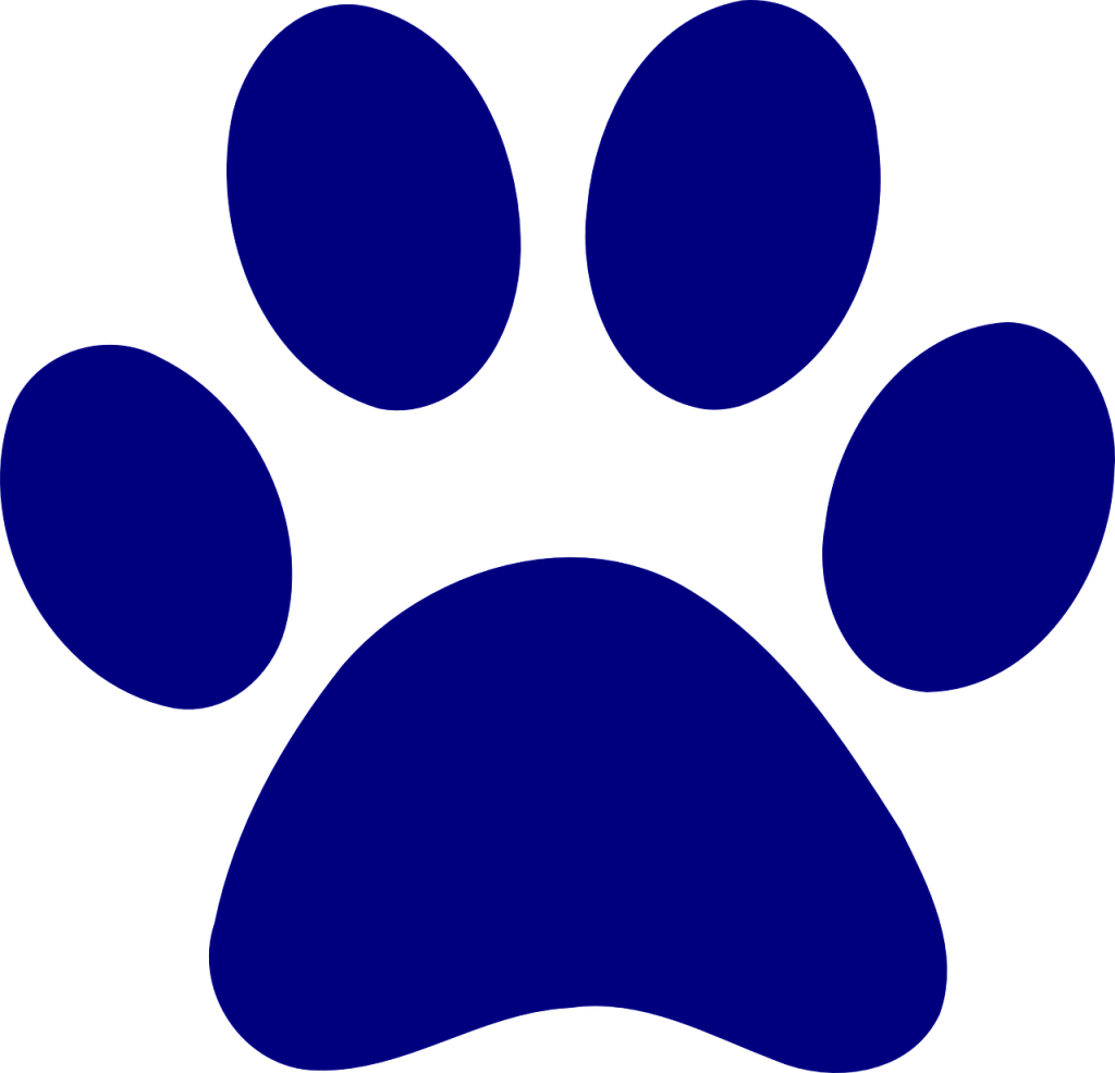 https://pixabay.com/pl/vectors/wydrukowa%C4%87-pies-nied%C5%BAwied%C5%BA-%C5%82apa-306214/