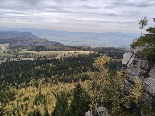 IMG20261007111602