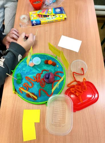 IMG 20241216 155132-1