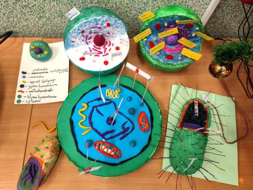 IMG 20241216 155515-1