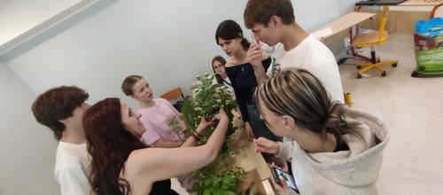 IMG 20260608 111902104