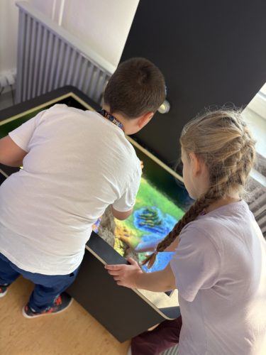 IMG 9894