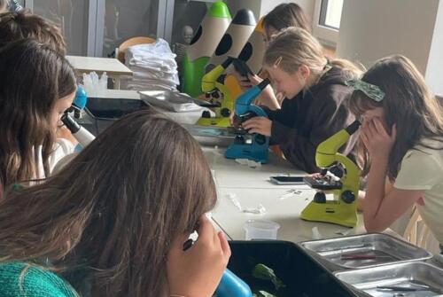 Zdjecie2 (1) (1) (1)