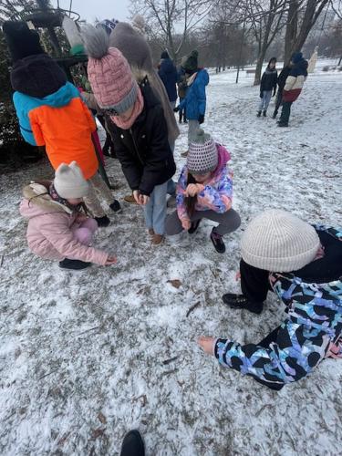 image1 (1) (1) (1) (1) (1) (1) (1) (1)