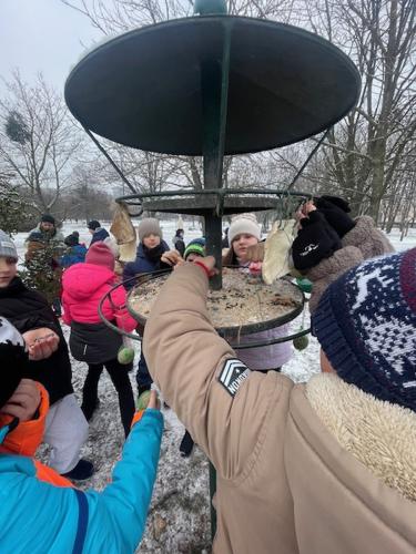 image2 (1) (1) (1) (1)