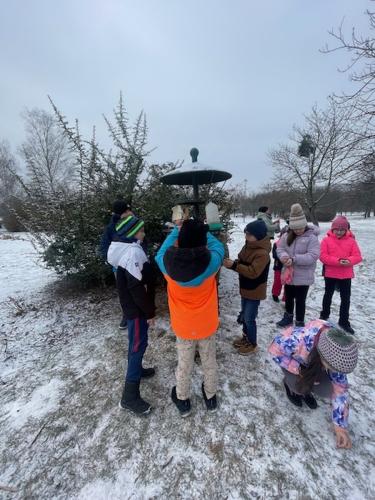 image3 (1) (1) (1) (1) (1)