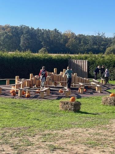 image4 (1) (1) (1) (1)